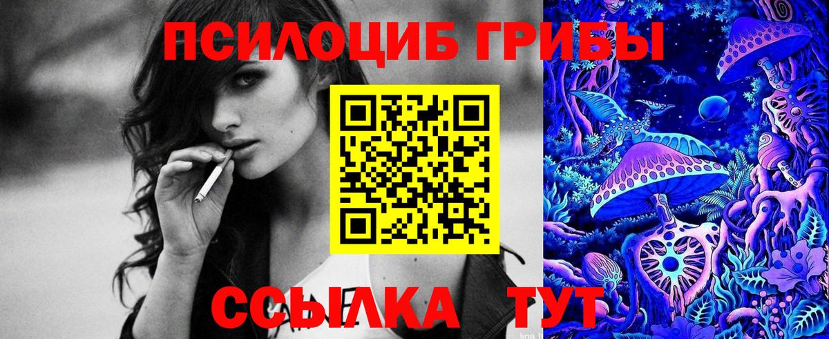 Галлюциногенные грибы Psilocybe  Вход с VPN  Псилоцибиновые грибы прущие грибы  Назарово 