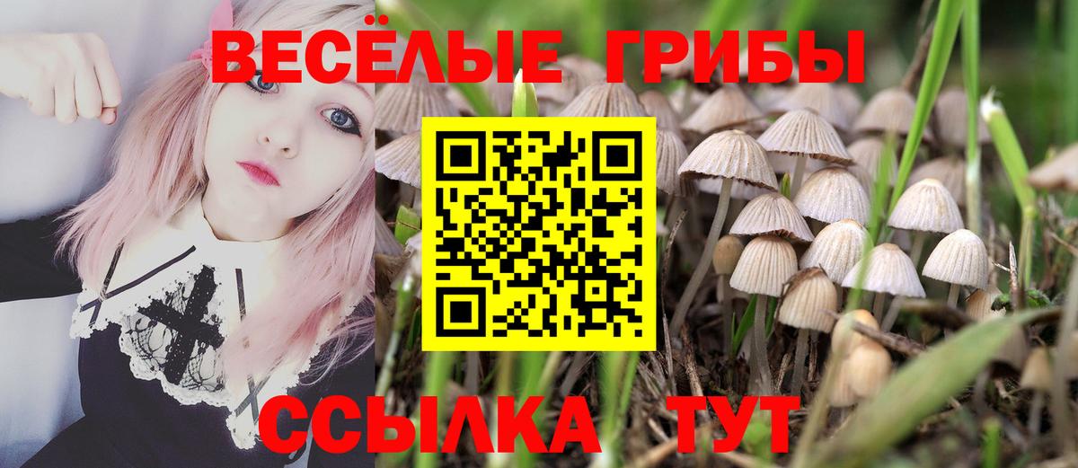 Псилоцибиновые грибы Magic Shrooms Назарово